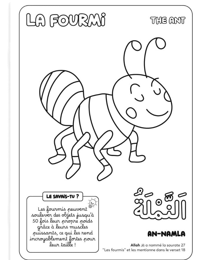 Colorie et apprends: Cahier éducatif des 30 animaux cités dans le Coran